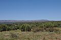 Shoofly Village Ruin, Under the Mogollon Rim Site