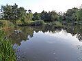 Snibston Grange 4