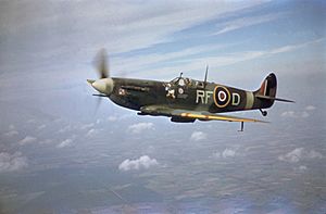 Spitfire V 316