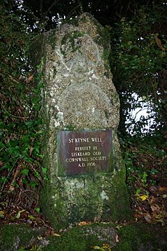 St Keyne's Well - geograph.org.uk - 1556016