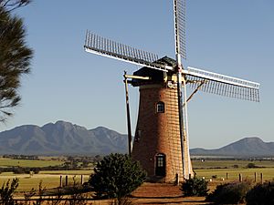 The Lily windmill2