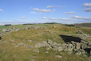 The remains of Bow Castle Broch - geograph.org.uk - 225213.jpg