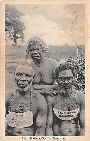Tommy, King of Noosa - Weyba, Cootharaba, Tumburrawa King Brown - Woolumba Members of the Gubbi Gubbi tribe