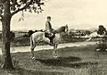 Traveller and Lee