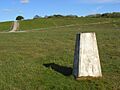 Trig point, Sidbury Hill - geograph.org.uk - 433781