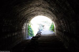 Tunnel at Belair National Park