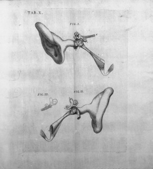 Valsalva - Opere, 1741 - 2983796