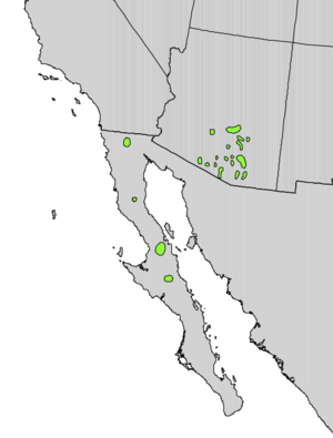 Vauquelinia californica range map.png