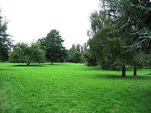 Wandlebury ring garden - geograph.org.uk - 1146202