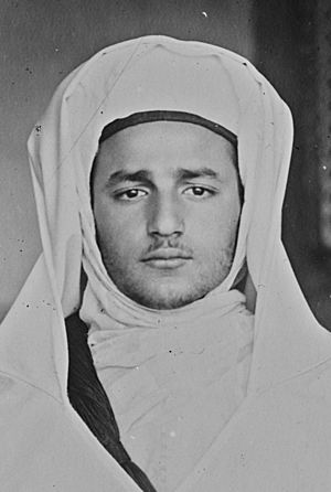 محمد بن يوسف العلوي