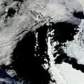 2010 Spring on the Antarctic Peninsula
