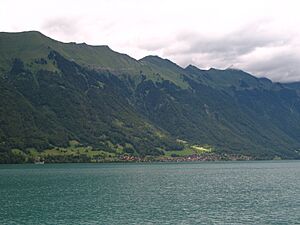 5497 - Oberried - Brienzersee