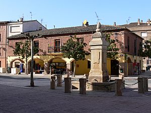 Constitución square