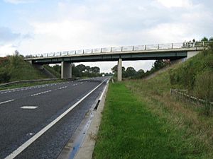A Bridge Over The A19 - geograph.org.uk - 263846