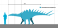 Alcovasaurus Scale