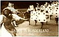 Alice in Wonderland (1903 film)