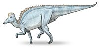 Amurosaurus-v3.jpg