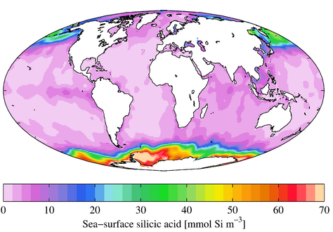 Annual mean sea surface silicic acid (World Ocean Atlas 2009)