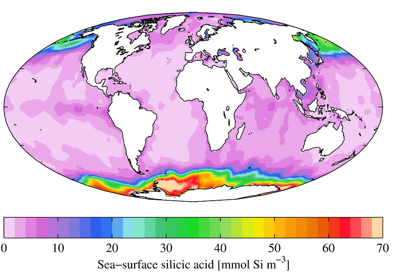 Annual mean sea surface silicic acid (World Ocean Atlas 2009)