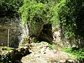 Arcy - Renne 1 - IMG 0384