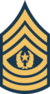 Army-USA-OR-09b.svg