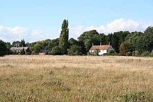 Ash Priors, Ash Common - geograph.org.uk - 50064