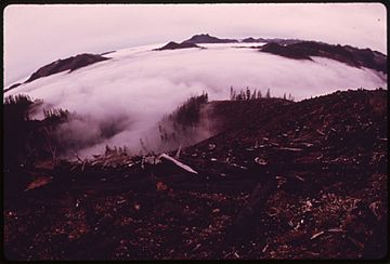 BURNED CLEAR-CUT AREA ON THE PEAK SOUTH OF DUSK POINT IN OLYMPIC NATIONAL TIMBERLAND, WASHINGTON. NEAR OLYMPIC... - NARA - 555087.jpg
