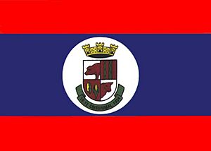 Bandeira Crissiumal