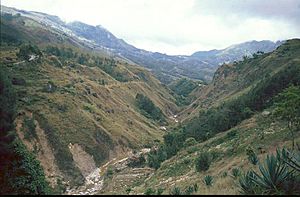 Mountain area in Cova Lima