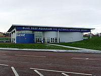 Blue Reef Aquarium, Tynemouth - geograph.org.uk - 1633538