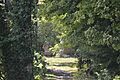 Bybee House through the trees