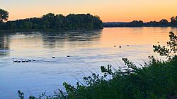 Canada Geese on the Missouri River. PHOTO WALK ENGLISH LANDING PARK (41624903745)