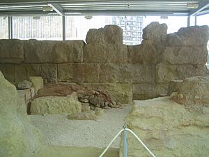Cartagena muralla punica
