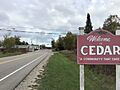 Cedar