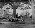 Civil-war-035