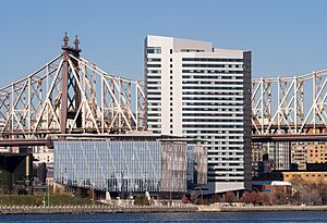 Cornell buildings on Roosevelt Island from LIC (41675)
