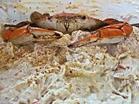 Close-up of crab dip, with a crab atop
