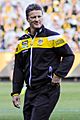 Damien Hardwick 2017