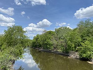 Des Plaines River seen from the Lake Street bridge in River Forest, Illinois