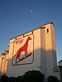 Dingo Flour - panoramio