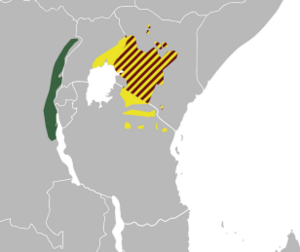 Distribution map of Golden-winged sunbird (Drepanorhynchus reichenowi) subspecies