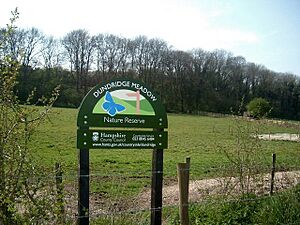 Dundridge Meadow - geograph.org.uk - 400724