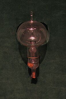 Edison Carbon Bulb
