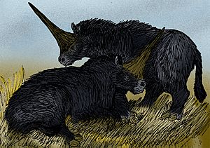 Elasmotherium sibiricum black