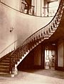 Elizabeth Bay House staircase