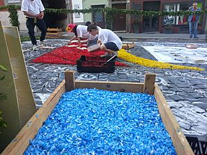 Fasi della preparazione - Infiorata 2013