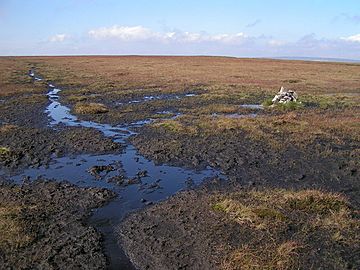 Featherbed Moss - geograph.org.uk - 245922.jpg