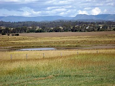 Fields in Tamrookum.jpg