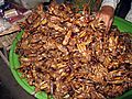 Fried crickets in Cambodia