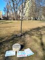Garden of the Righteous, Warsaw, March 19, 2022 Protest